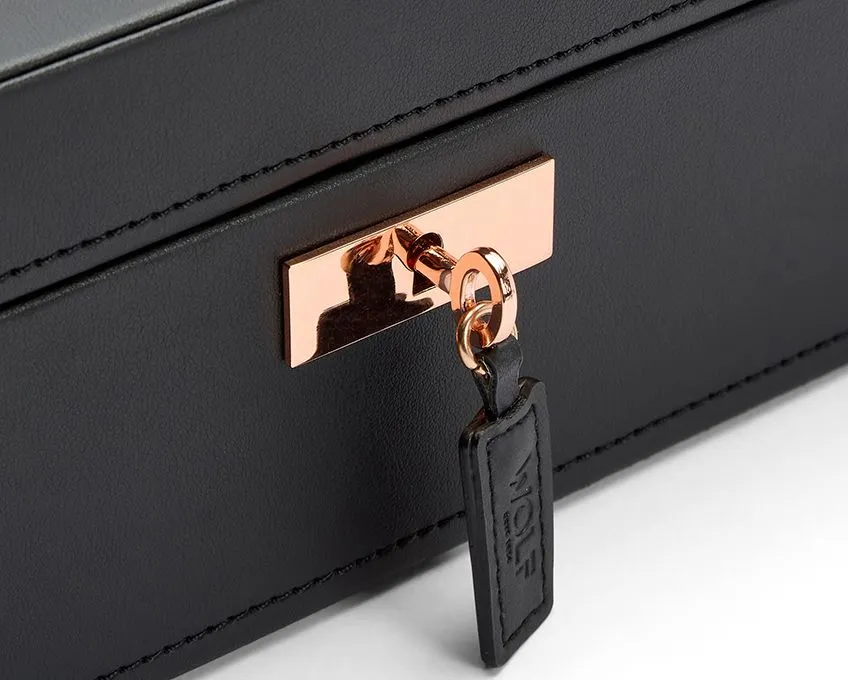 Axis 10 Piece Watch Box (Copper)