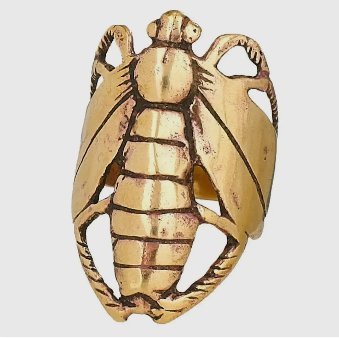Locust Love Ring in Bronze
